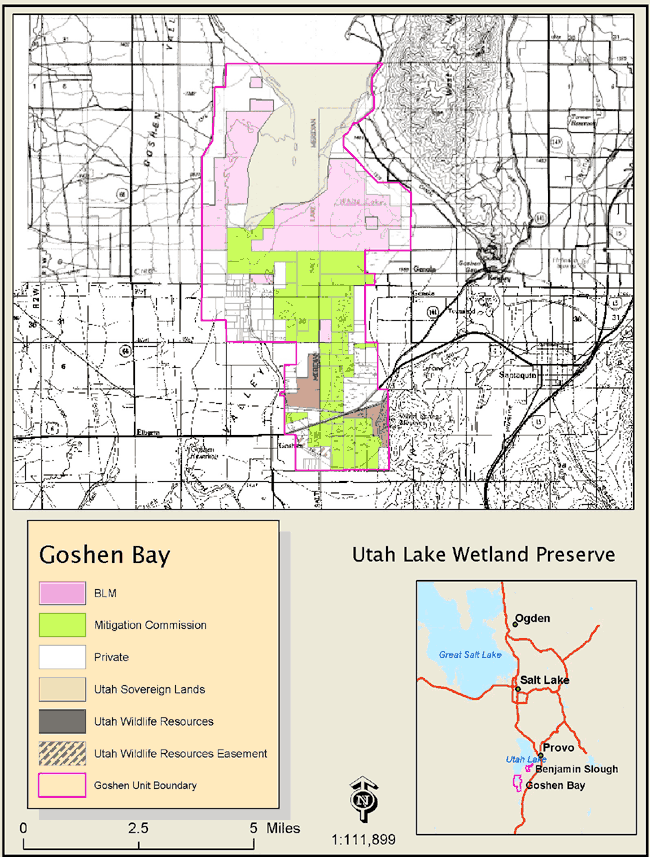 Goshen Bay Map