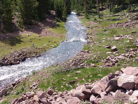Brown Duck Lake field photos (11)