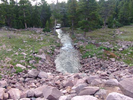 Brown Duck Lake field photos (4)