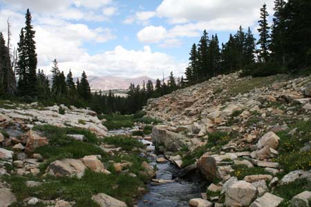 Drift Lake, July 2006 006