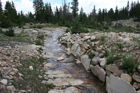 Drift Lake, July 2006 008