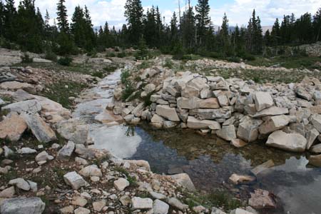 Drift Lake, July 2006 009