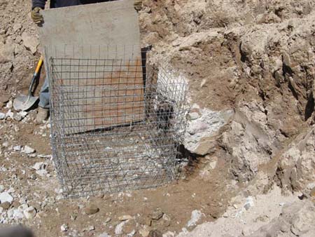 15-Five Point Lake Stabilization, installing gabion basket at oulet pipe prior to grouting