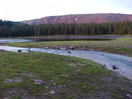 Island Lake field photos (18)