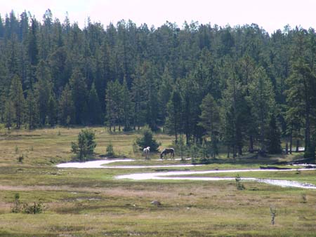 Kidney Lake field photos (14)