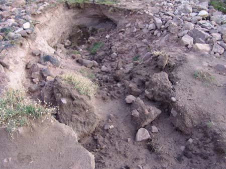 Seepage hole in Kidney Lake Dam prior to stabilization (4)