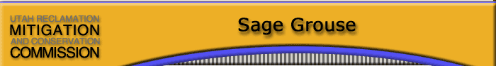Sage grouse