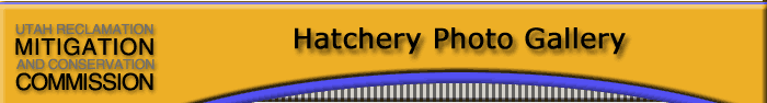 Hatchery Photo Gallery Page Header