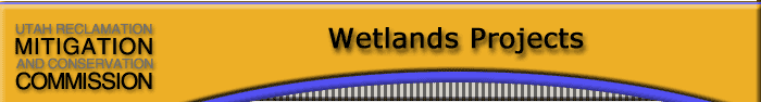 Wetlands Projects