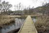 white-bridge-boardwalk-and-