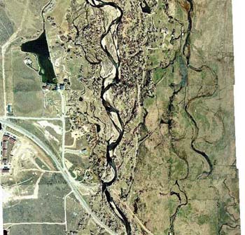 aerial