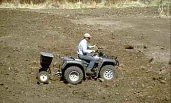 Revegetation-Seeding