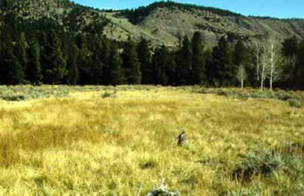Big Springs Tribal Fish Hatchery Site