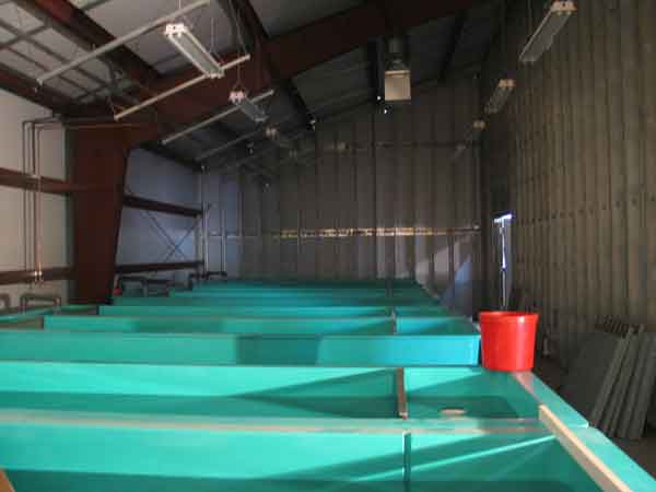 Big Springs rearing room 10-20-2010