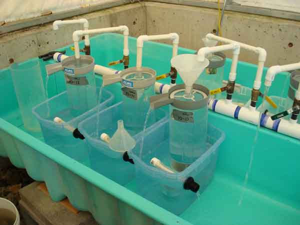 Fisheries Experiment Station June 10,2010