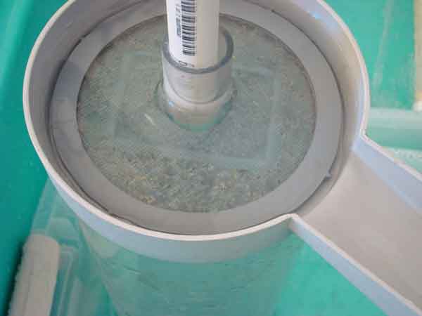 Fisheries Experiment Station June 10,2010
