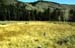 Big Springs Tribal Fish Hatchery Site