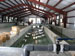 Big Springs hatchery
