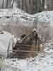 jasper pike diversion footers