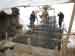 tabby diversion footers