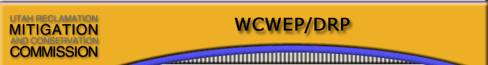 wcwep and daniels replacement pipeline