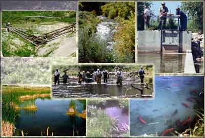 Strawberry and Duchesne watershed Collage