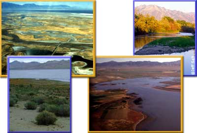 Collage of Wetland projects in Utah