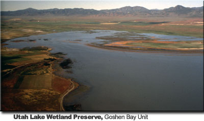 aerial of Utah Lake Wetland Preserve Goshen Unit